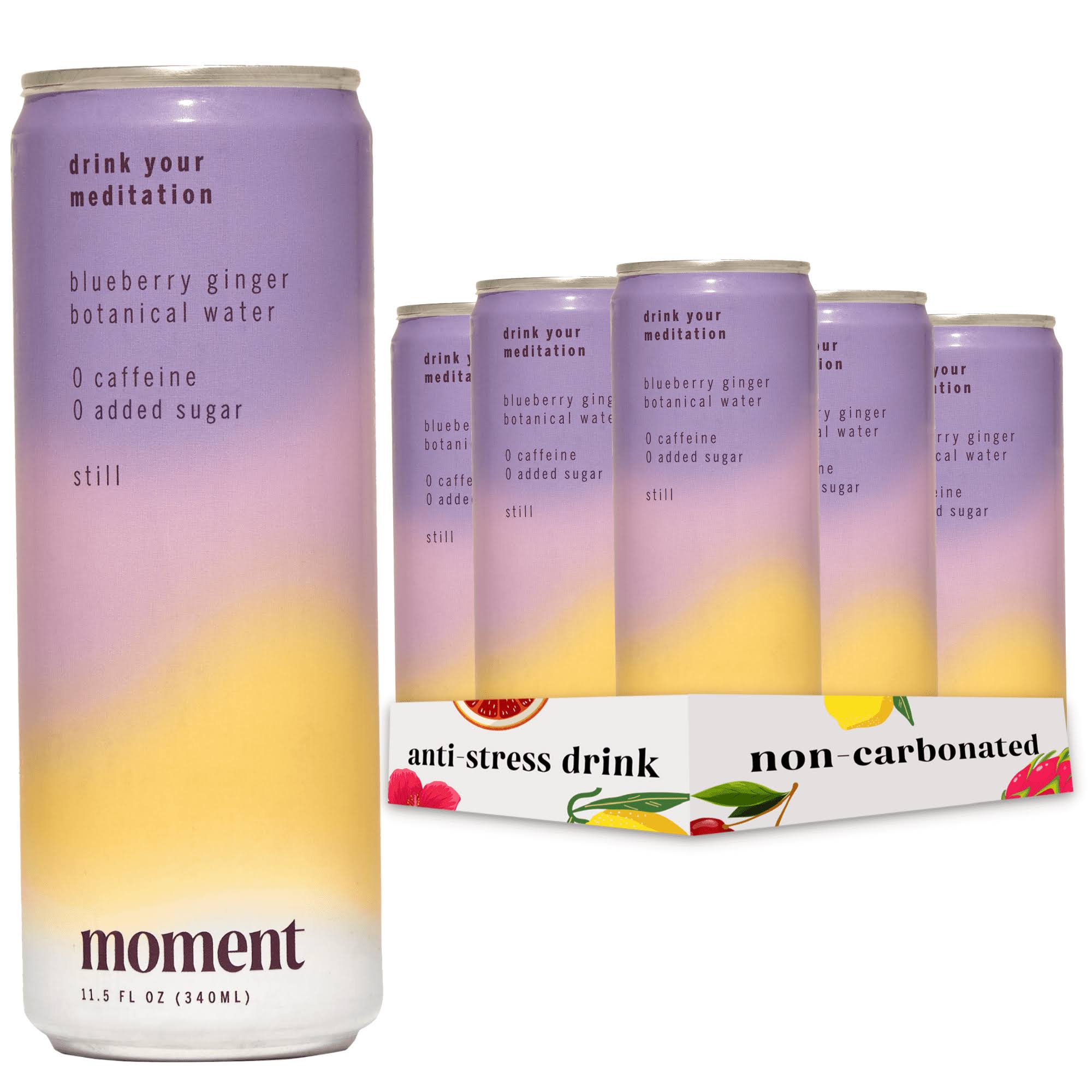 Moment Botanical Water, Blueberry Ginger, Still, Zero Added Sugar, 12 Pack, 11.5 fl oz
