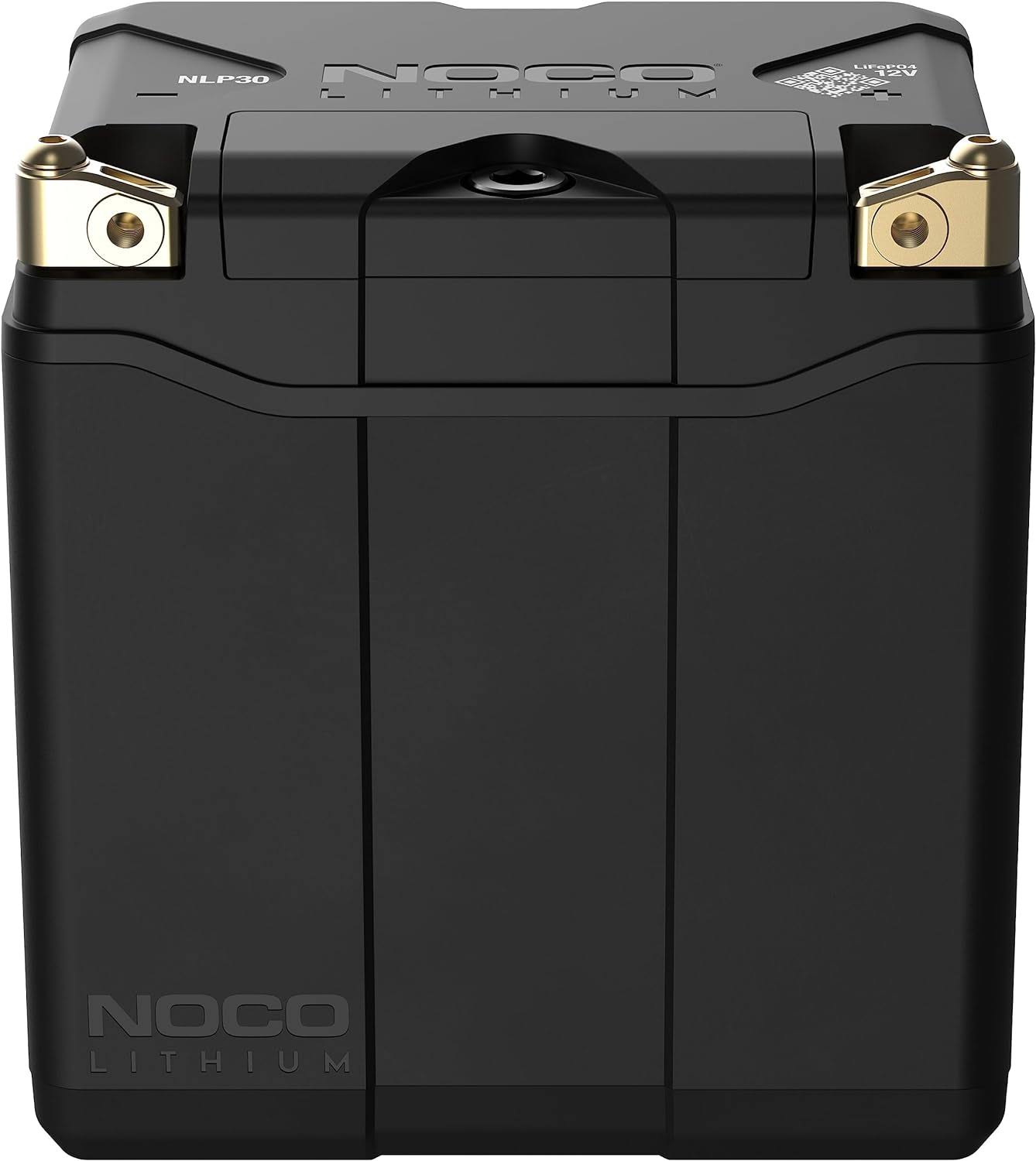 Lithium NLP30, Group 30, 700A Lithium LiFePO4 Motorcycle Battery, 12V 8Ah ATV, UTV,  Ski, 4 Wheeler, Quad, Riding Lawn Mower, Tractor, Scooter, PWC, Seadoo, Polaris and Generator Battery