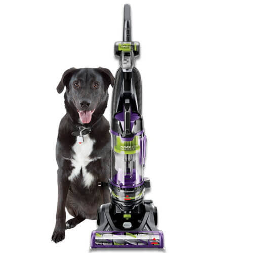 Power Lifter Pet Rewind with Swivel Bagless Upright Vacuum, 2259