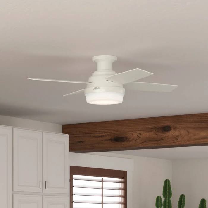 Hunter Fan Dempsey Low Profile 44  Ceiling Fan with Light Kit