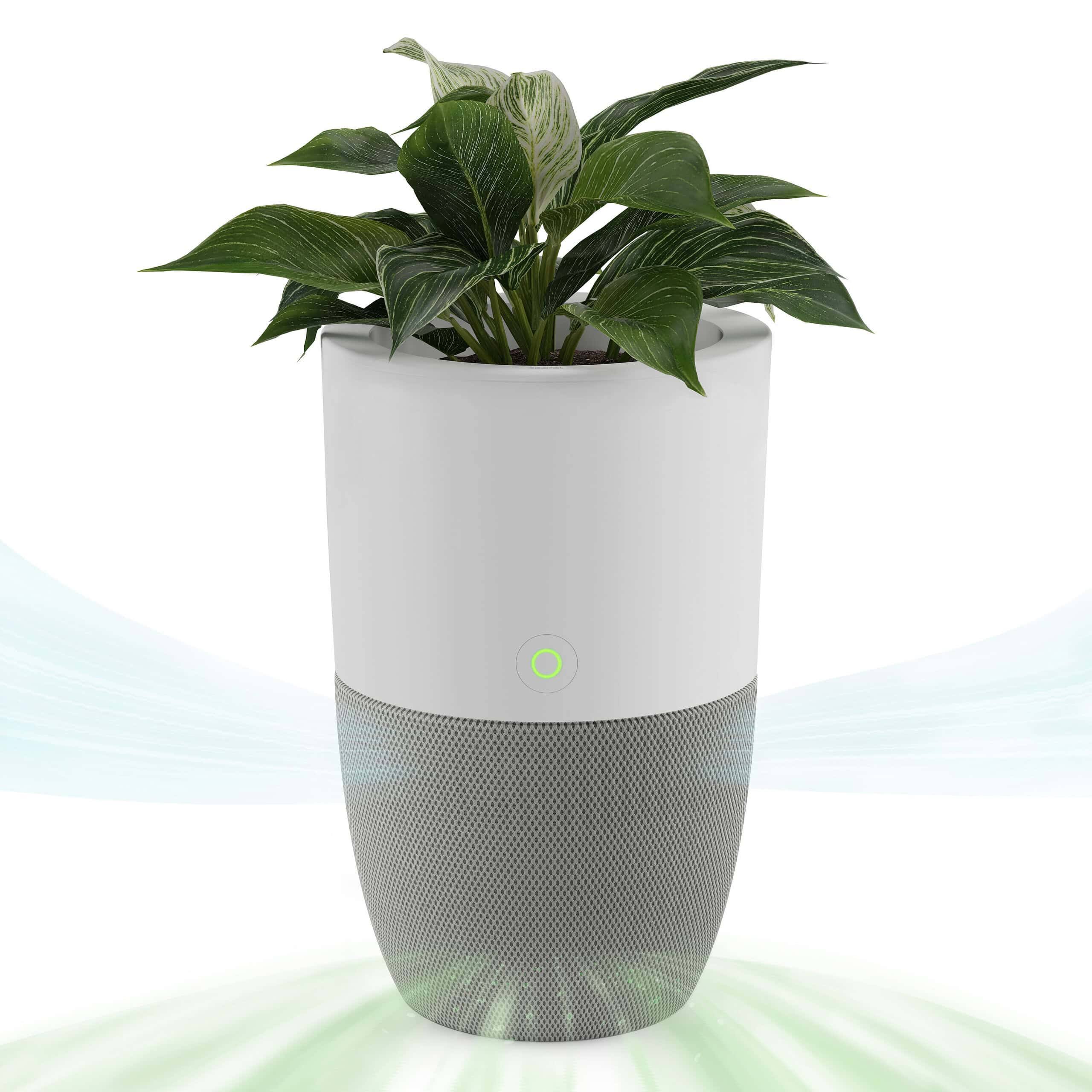 Dupray Bloom 4-Speed White HEPA Air Purifier (Covers: 1517-sq ft)