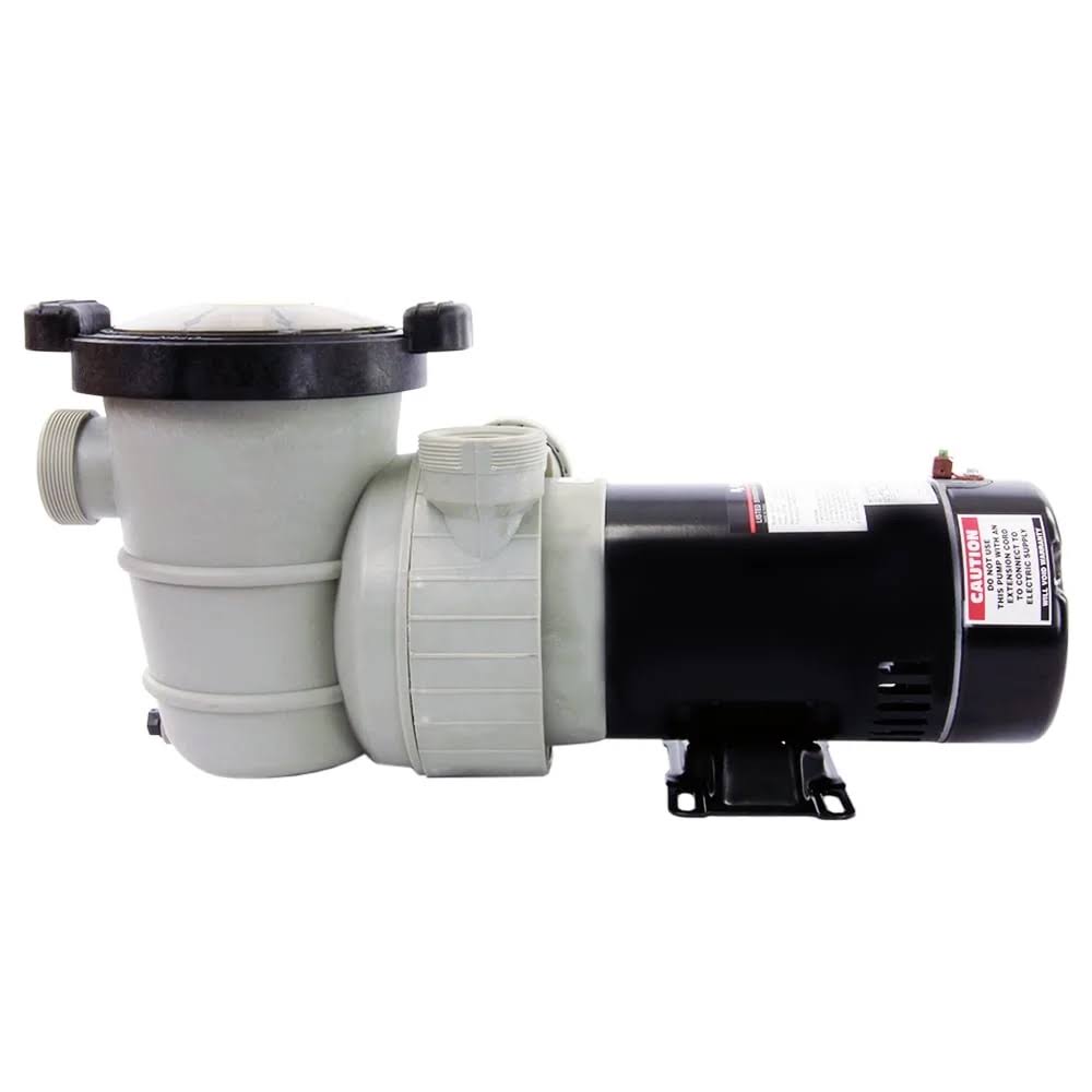 Rx Clear Dorado 1-1/2 HP Dual Port Above-Ground Pool Pump
