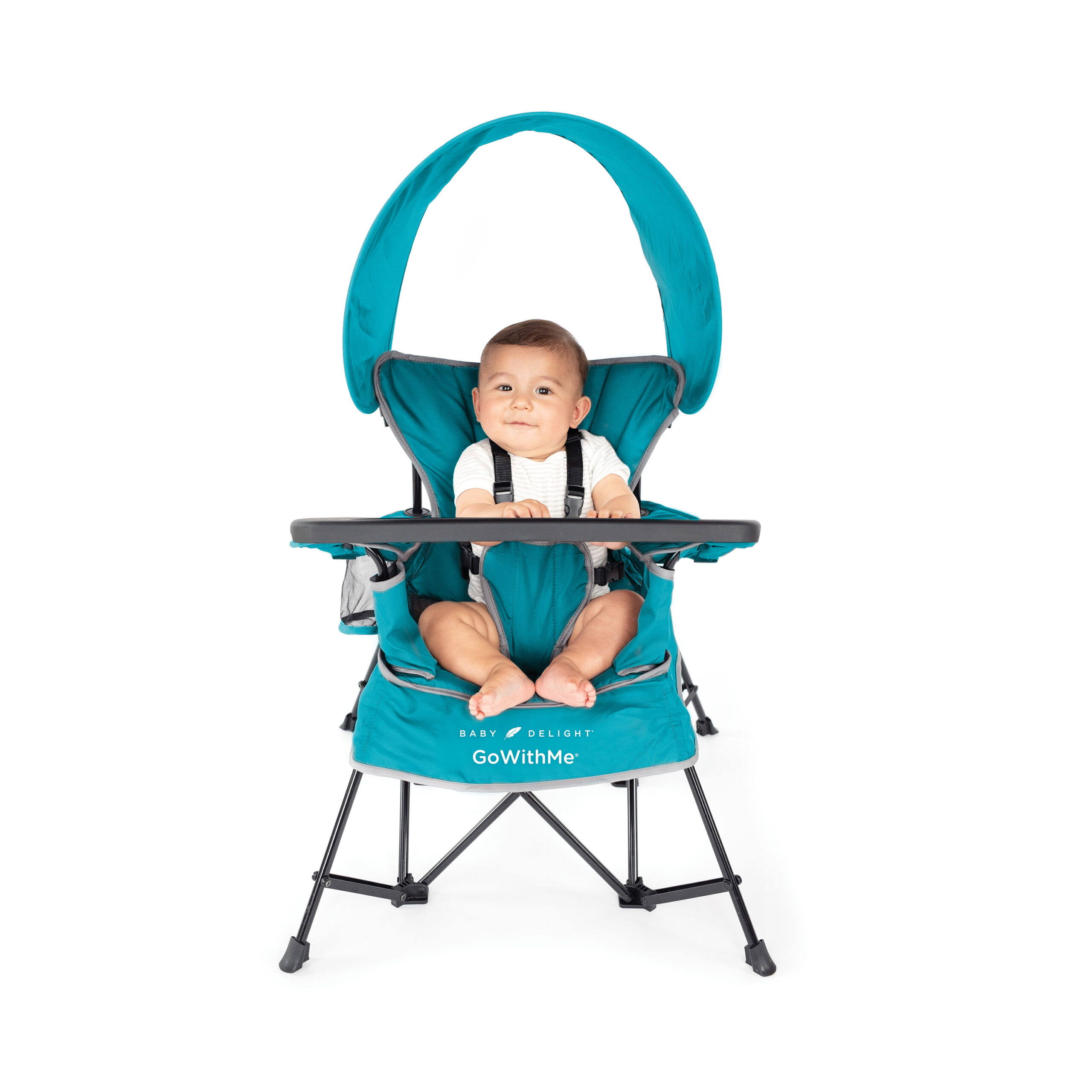 Baby Delight Go With Me Jubilee Deluxe Portable Chair, Teal