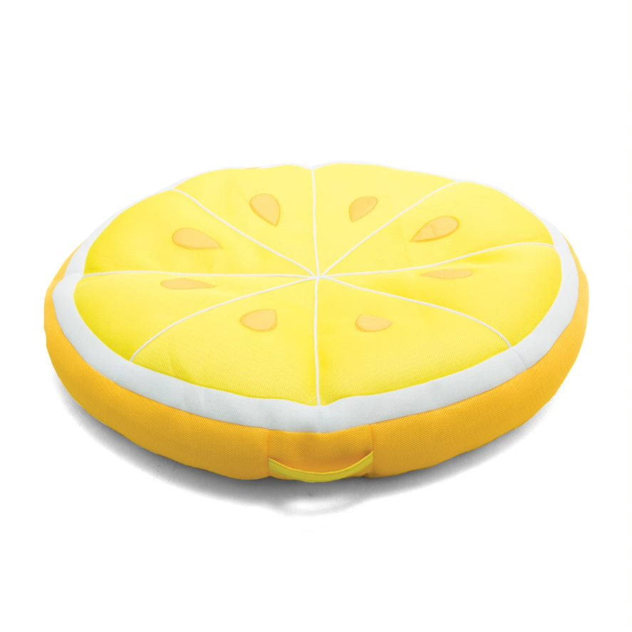 Bean-Filled Lemon Pool Float, Mesh